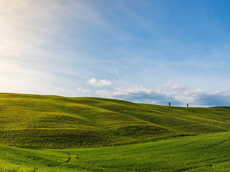 countryside, barley hill, spring-7993605.jpg